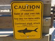 Табличка, которая любого туриста и местного жителя поставит перед нелегким выбором – купаться или не купаться в водах, в которых обитают акулы.