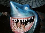 Обычно голубая акула питается летучими рыбами, но на этом фото ей в качестве обеда досталась аппетитная и невинная девушка.